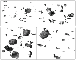  Figure 3: Four examples of amoebas and debris.